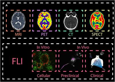 Recent Advances in Rare-Earth-Doped Nanoparticles for NIR-II Imaging and Cancer Theranostics